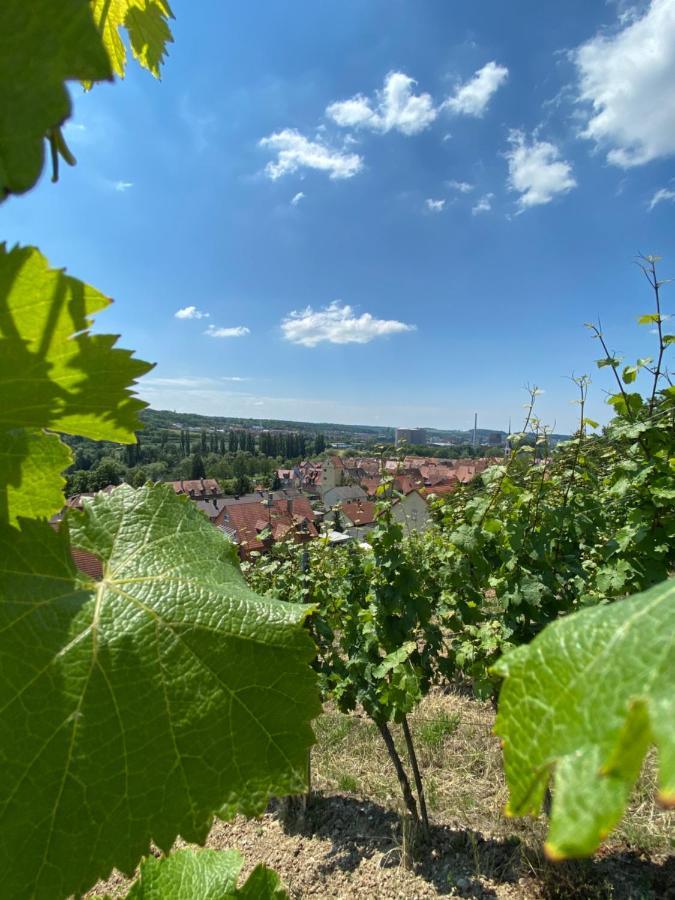 Ferienwohnung Wohlsein Frickenhausen am Main Zewnętrze zdjęcie